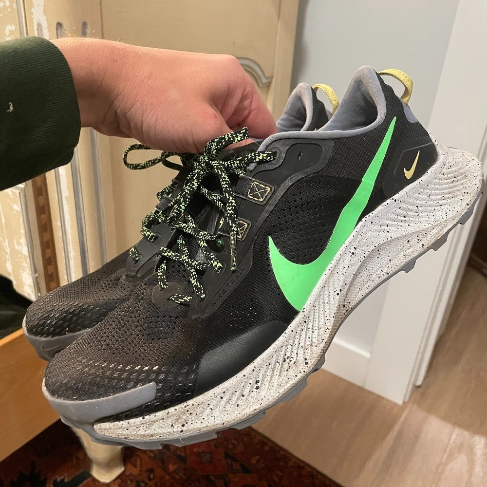 Nike Pegasus Trail 3